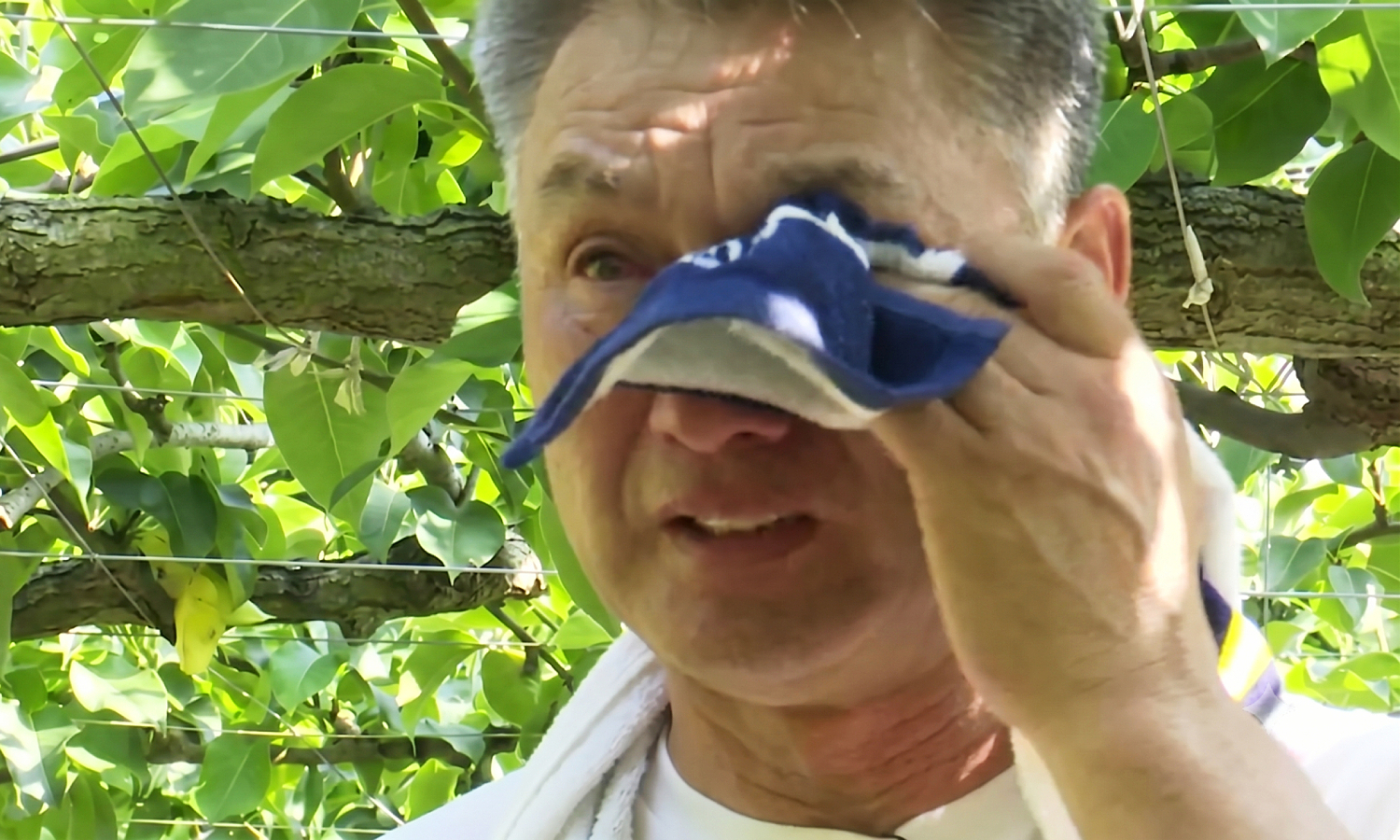 Farmer loses 11,000 pears, receives community support