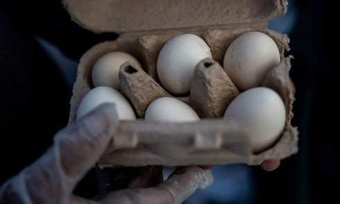 US recalls 19 million eggs due to bacterial contamination risk