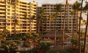American family's nightmare vacation