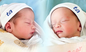 Using 'computational radar' to monitor high-risk twin pregnancies