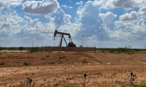 US crude oil price nears 80 USD