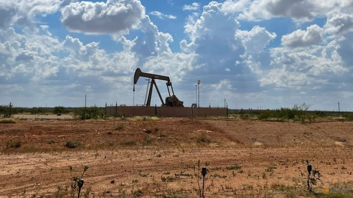 US crude oil price nears 80 USD