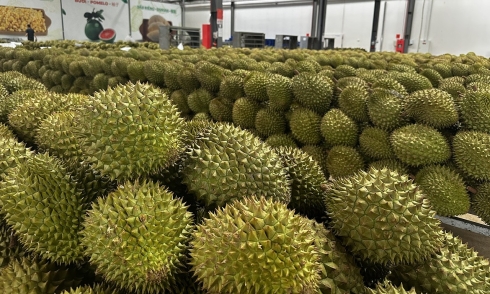 Vietnamese durian gains official entry to India