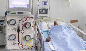 98-year-old man suffers multi-organ damage from hornet stings