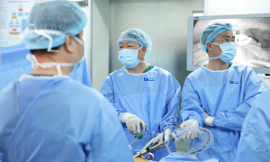 Multi-organ failure due to septic cholangitis