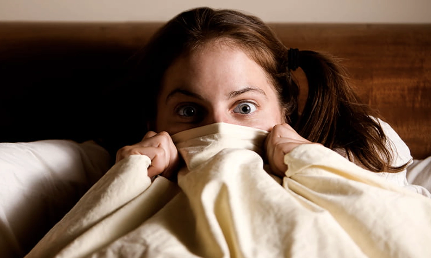 Why Humans Freeze in the Face of Danger