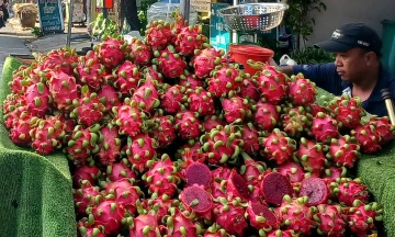 Dragon fruit prices double after hitting rock bottom