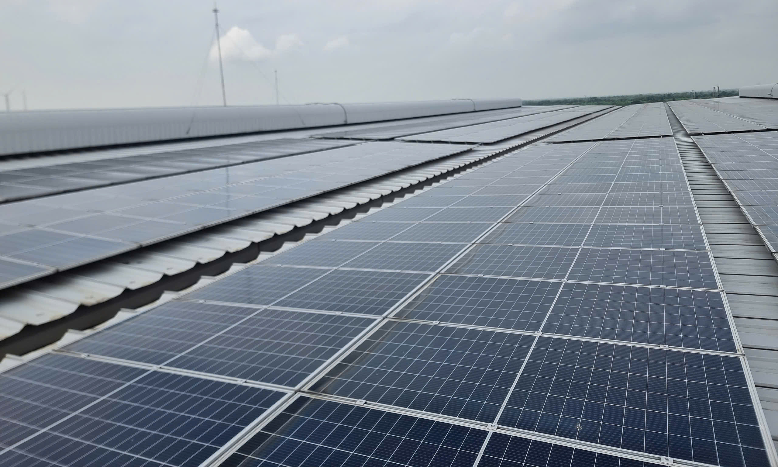 Northern businesses boost rooftop solar power installation