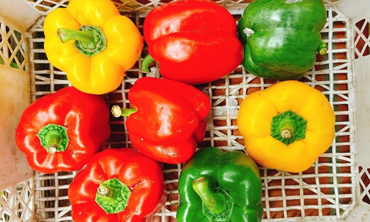 6 ways to naturally support bright, healthy eyes