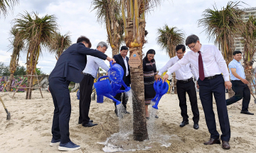 South Korea supports Da Nang in planting coconut trees to combat coastal erosion