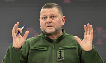 Former Ukraine commander-in-chief: "joining NATO is just a fairy tale"