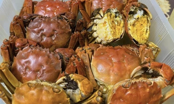 Cua da crab priced at 700,000 dong per kg in early season