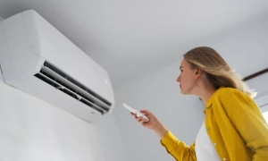 Mistake when turning off air conditioners causes mold to multiply