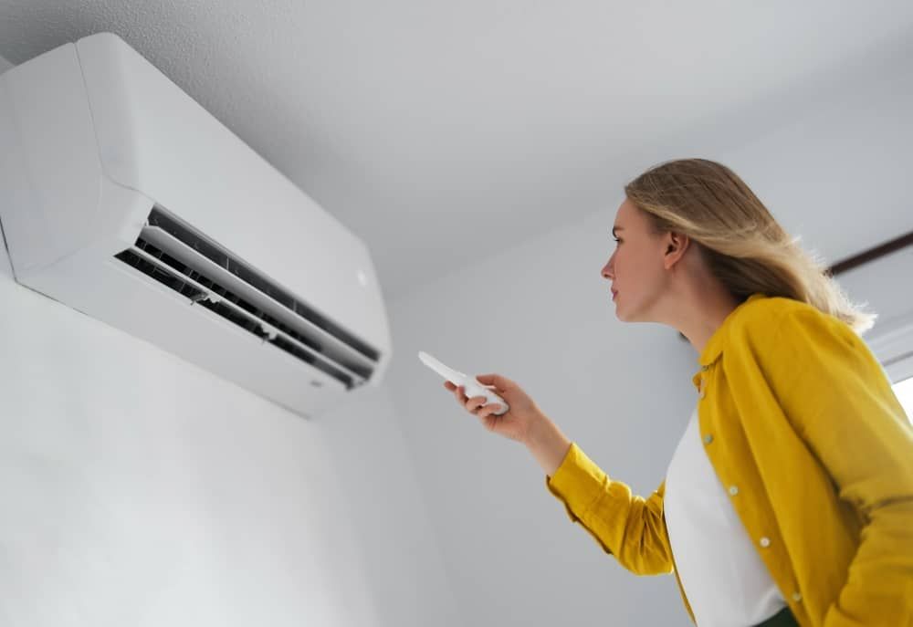 Mistake when turning off air conditioners causes mold to multiply