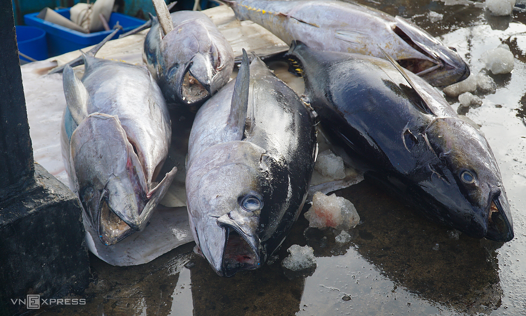 Vietnamese businesses struggle to meet EU recycled packaging requirements
