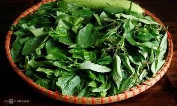 6 magnesium-rich vegetarian foods good for muscles, nervous system