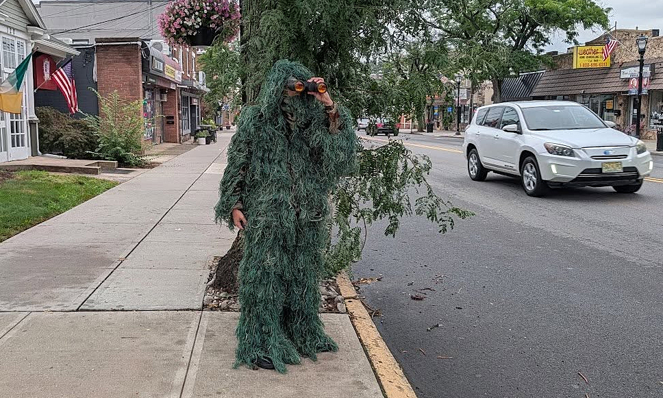 Police officer disguised as a bush to catch drivers using phones