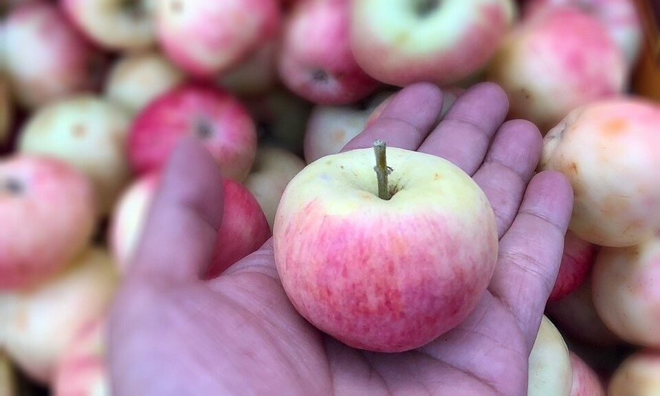 Does eating a lot of fiber help with weight loss?