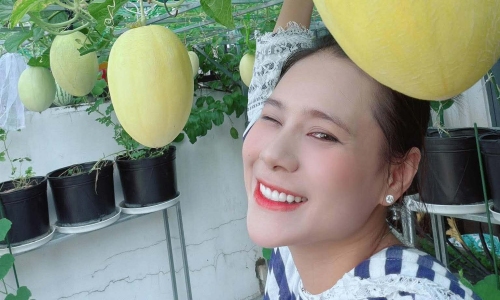 Ho Bich Tram's balcony melon trellis