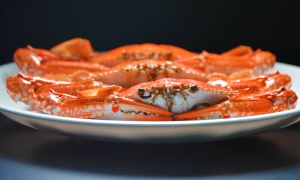 Vietnamese crab gains traction in US market
