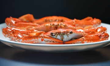 Vietnamese crab gains traction in US market