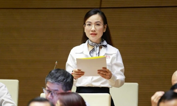 Proposal to ban mediation in domestic violence cases to protect victims