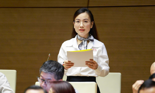 Proposal to ban mediation in domestic violence cases to protect victims