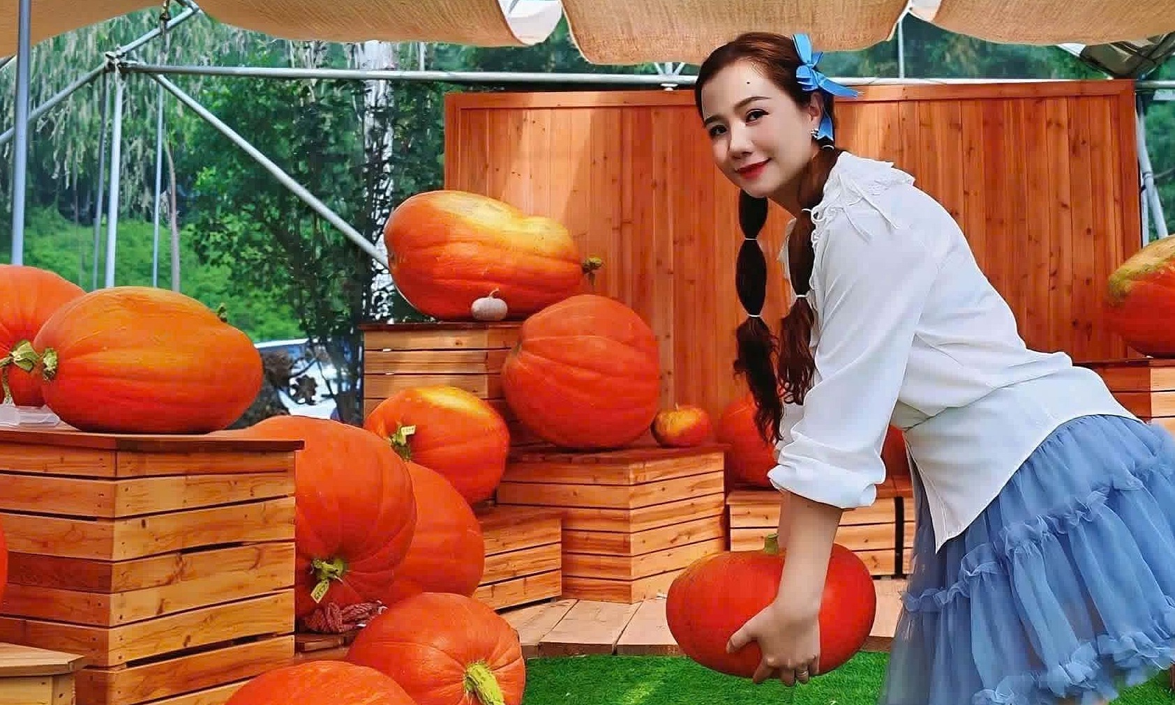 Quang Ninh's 100 kg pumpkin garden draws visitors