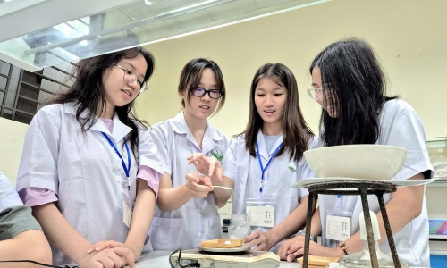 Hanoi university of pharmacy sets benchmark scores from 21.35