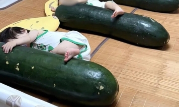 Troubles following the winter melon cooling trend in China