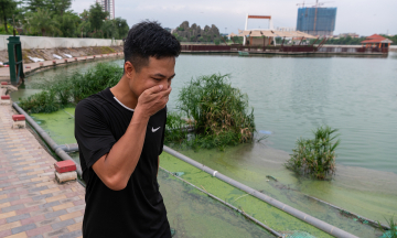 Regulating lakes covered in scum, emitting foul odors