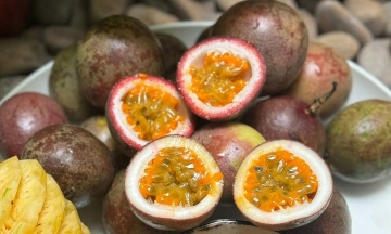 Four fiber-rich foods for cancer patients