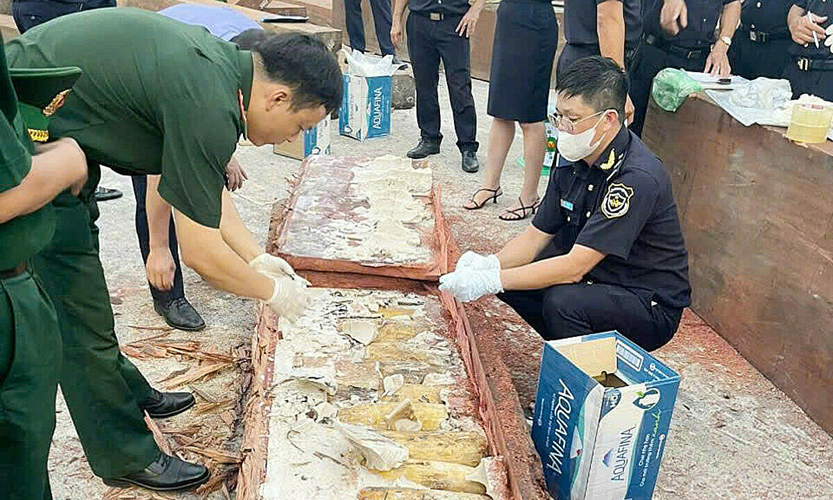 Three containers declared as sawn timber found with over 1,2 tons of ivory in Quy Nhon