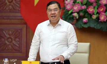 Vice prime minister: review businesses with high imports and low exports