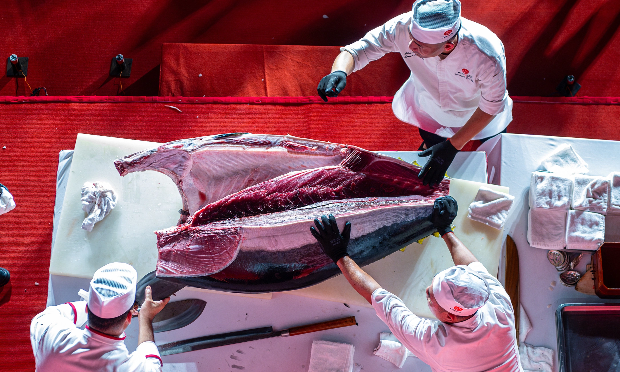 Vietnamese chef carves 220 kg Japanese tuna, valued at nearly one billion dong