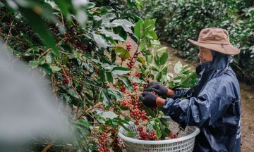 Highlands Coffee's journey: from farm to over 100 million cups