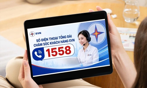 EVN launches customer care hotline