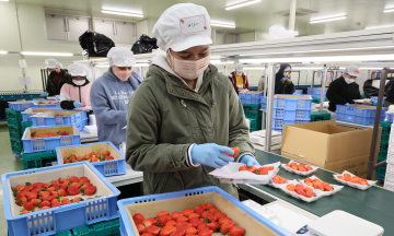 Japan's economy grows slower than forecast