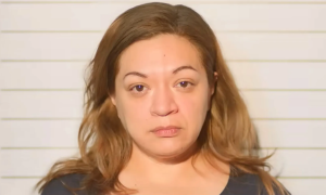 Conspiracy to abduct a newborn by a healthcare worker faking pregnancy