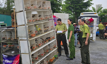 15 vehicles selling over 1,000 wild birds at spontaneous market face surprise inspection