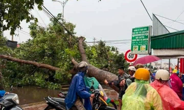 Storms and whirlwinds blow off roofs, fell trees, injuring passersby in Lam Dong, Dak Lak