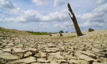 Over 300,000 hectares of crops at risk of water scarcity due to El Nino