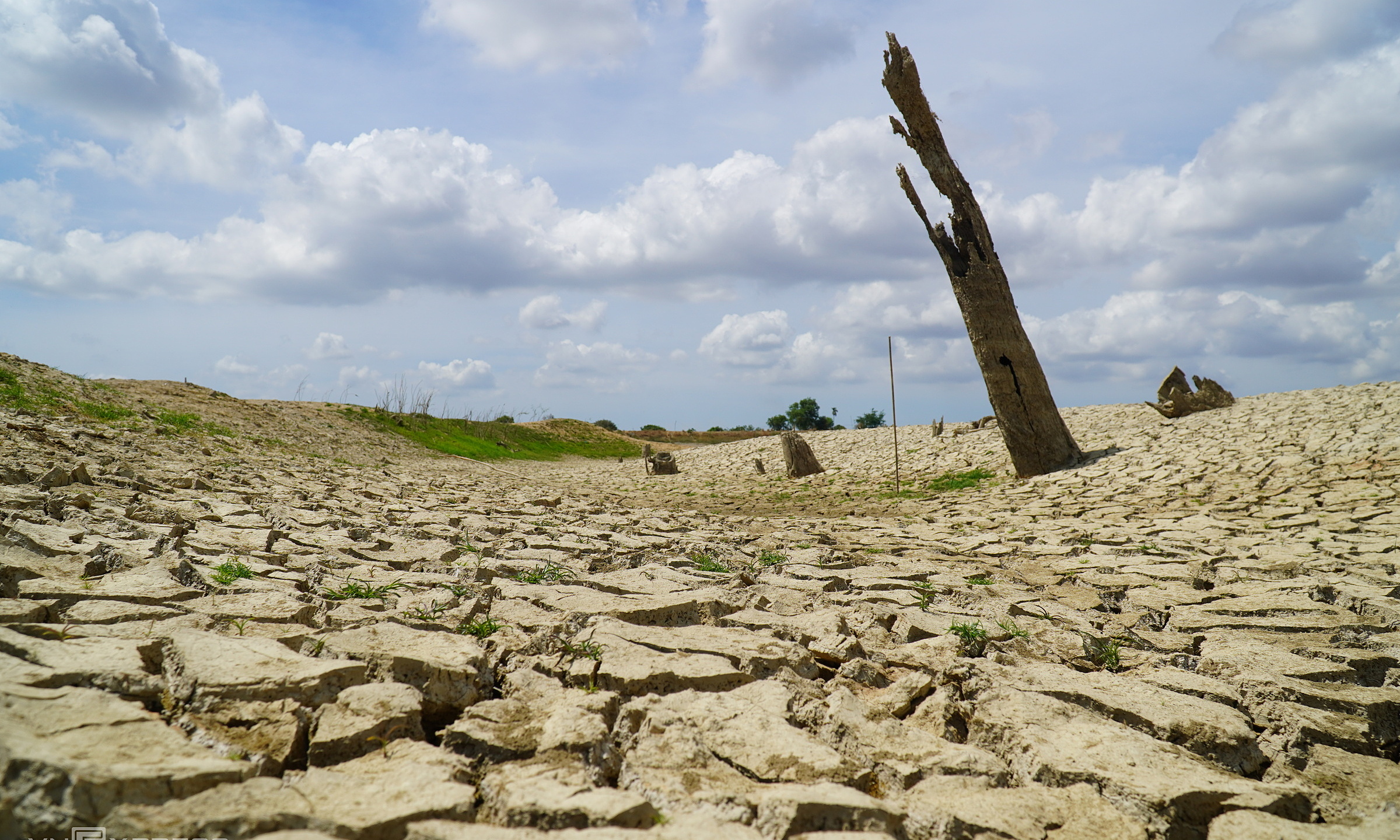 Over 300,000 hectares of crops at risk of water scarcity due to El Nino