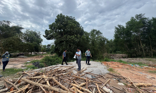 260 hectares of Phu Quoc protective forest encroached