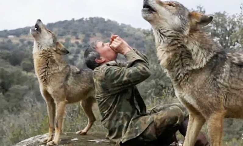 The poignant life of a man raised by wolves for 12 years