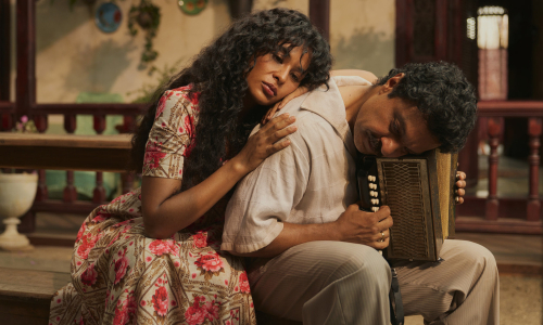 Reasons 'one hundred years of solitude' is difficult to adapt into film