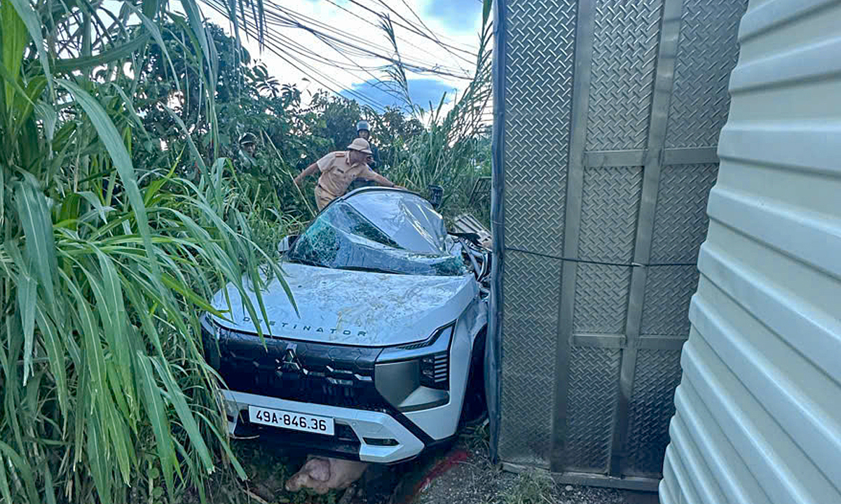 Pig truck overturns, crushing seven-seater car, one dead