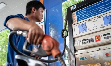 Fuel prices decrease