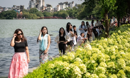 Long queues form for hydrangea photos by Hoan Kiem Lake