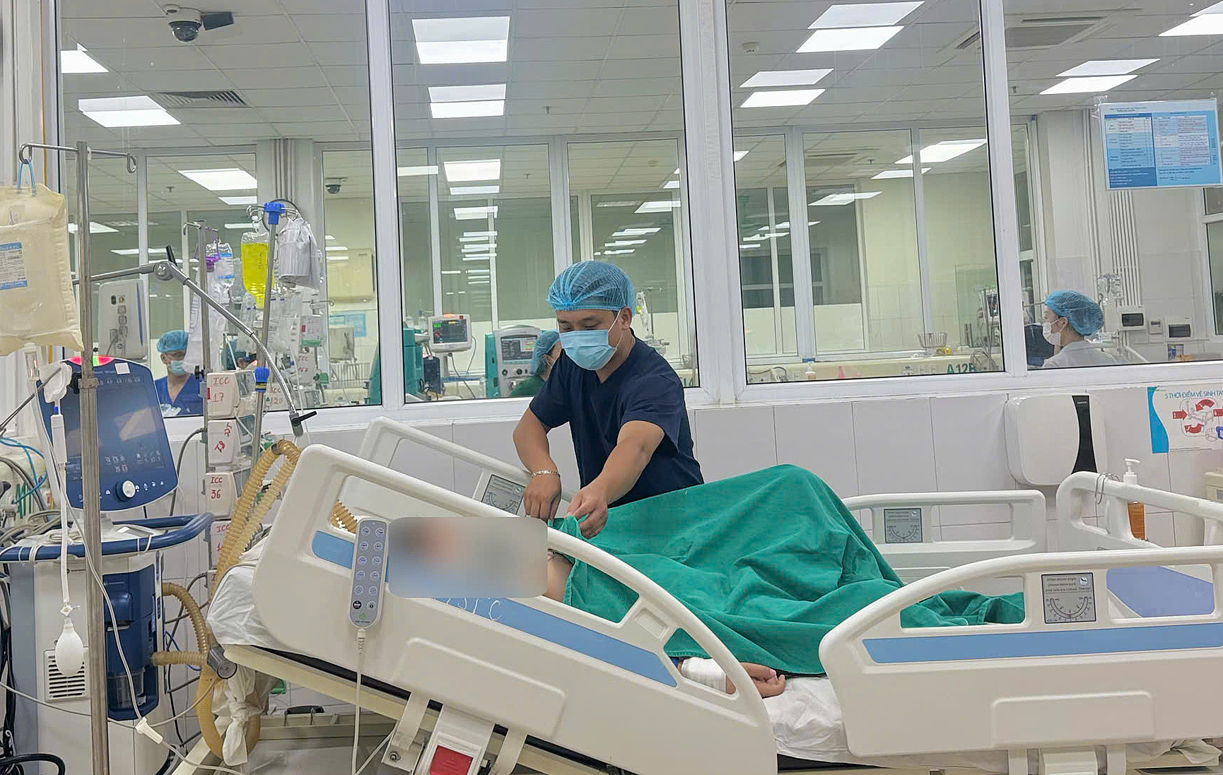 Mite bite causes 14-year-old girl to undergo dialysis